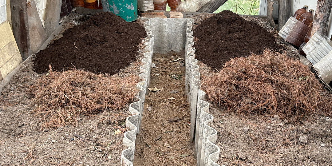 Вот чем надо обработать теплицы в октябре от фитофторы и кладоспориоза