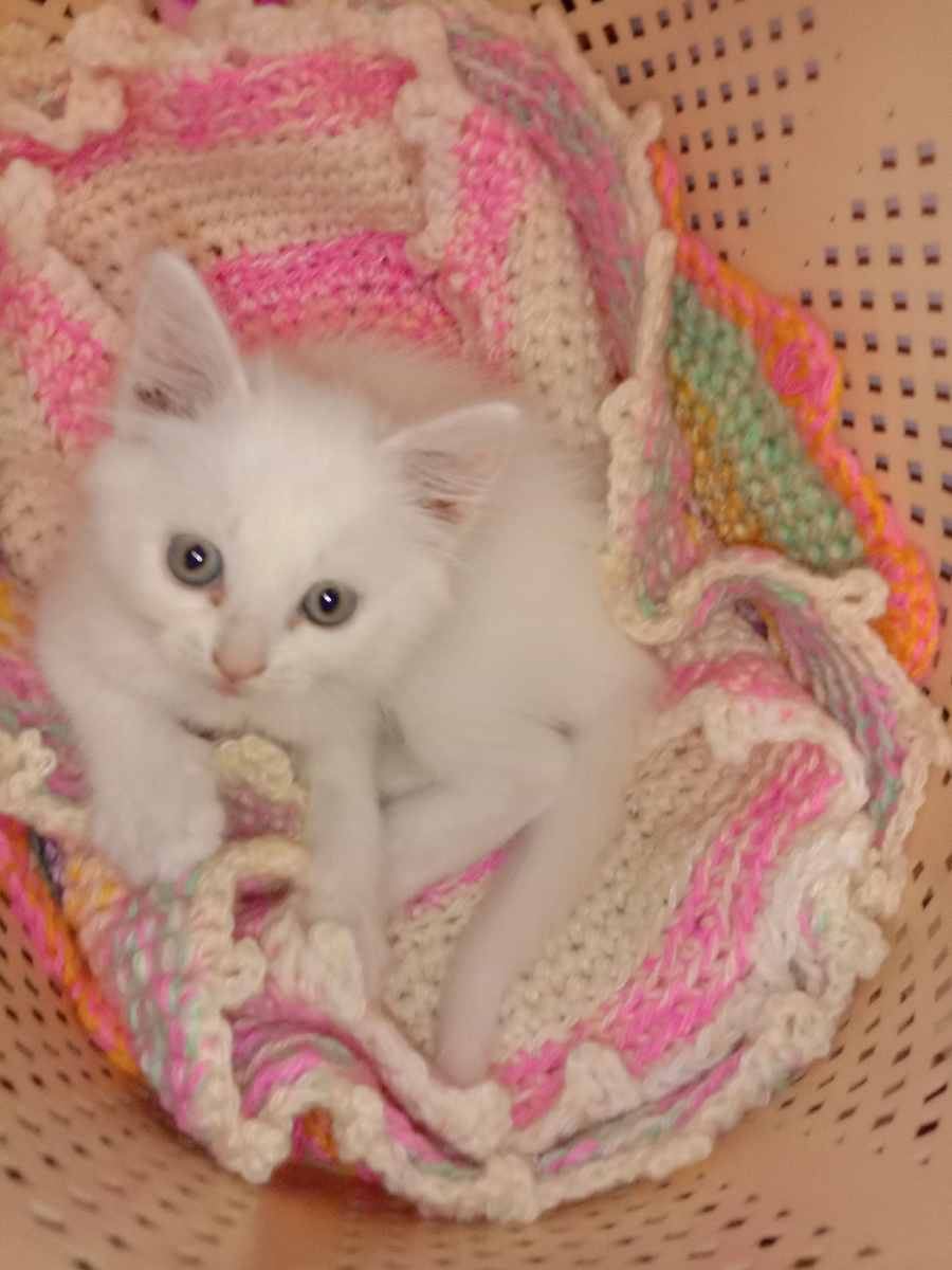 Первый день в нашей семье