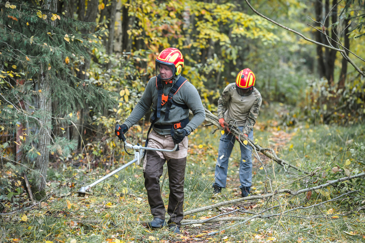    Докторская аллея. Фото: «Республика» / Оксана Кудряшова