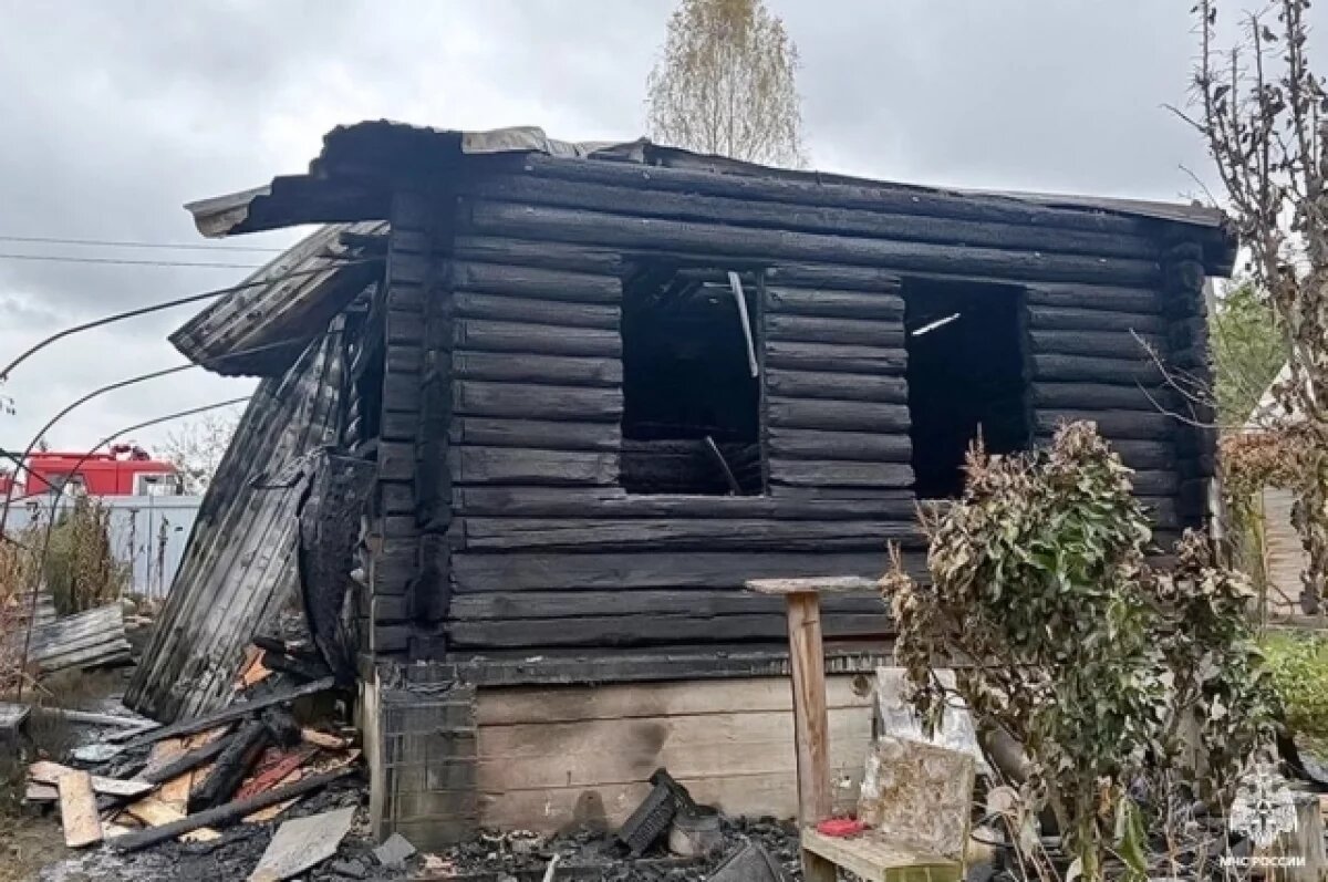    Пламя уничтожило дачный домик под Смоленском