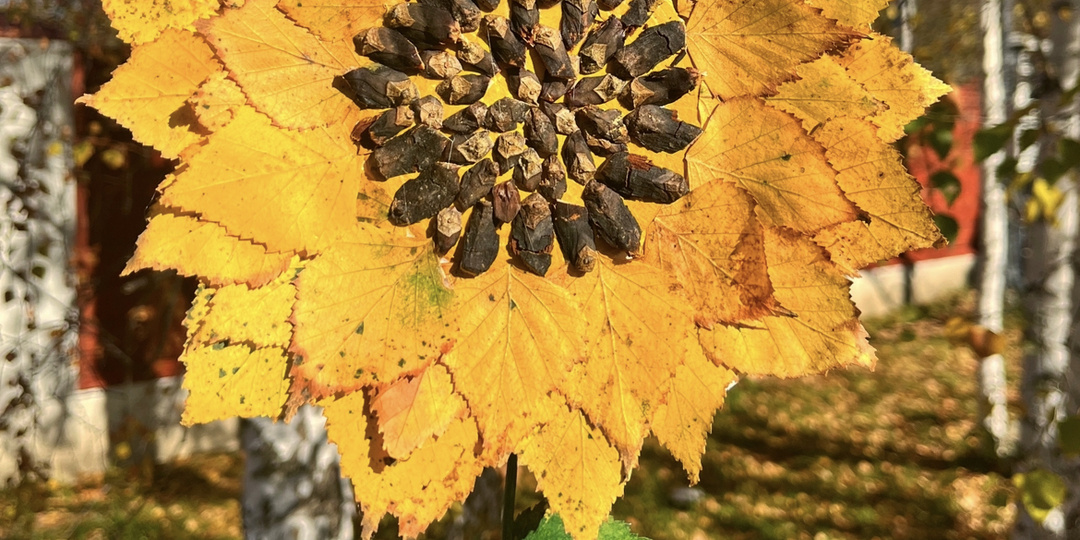 Мастер-класс: Солнечный Подсолнух – творим чудо осени своими руками!