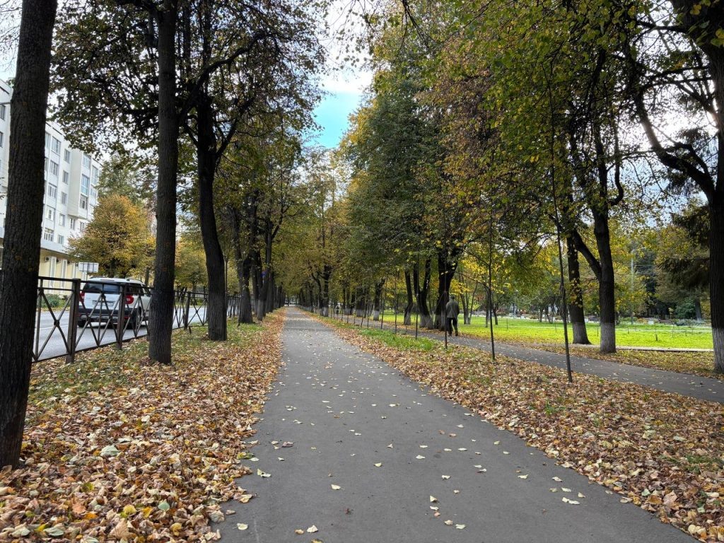    Альфия Радыгина