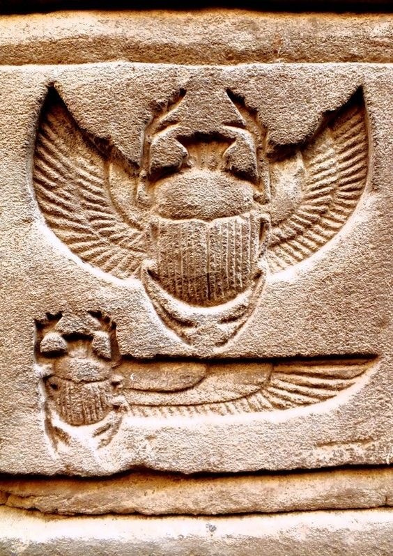 Иероглиф скарабея