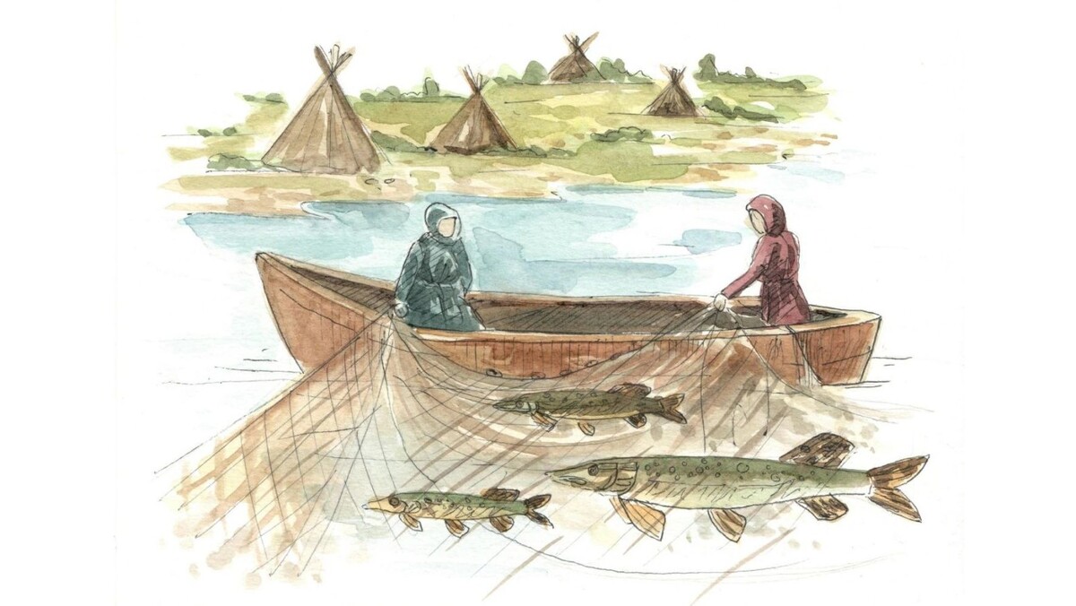    Иллюстрация: Наталья Колбина / «Ямал-Медиа»