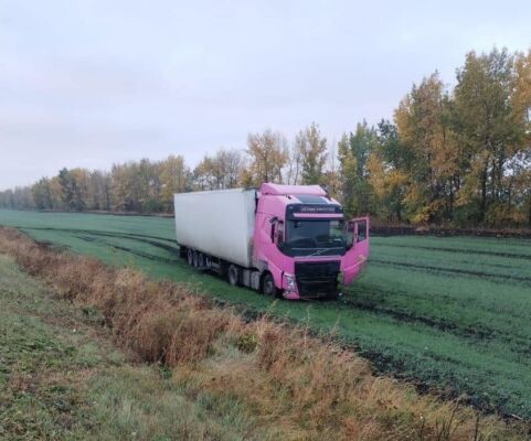    Фото: УМВД по Воронежской области