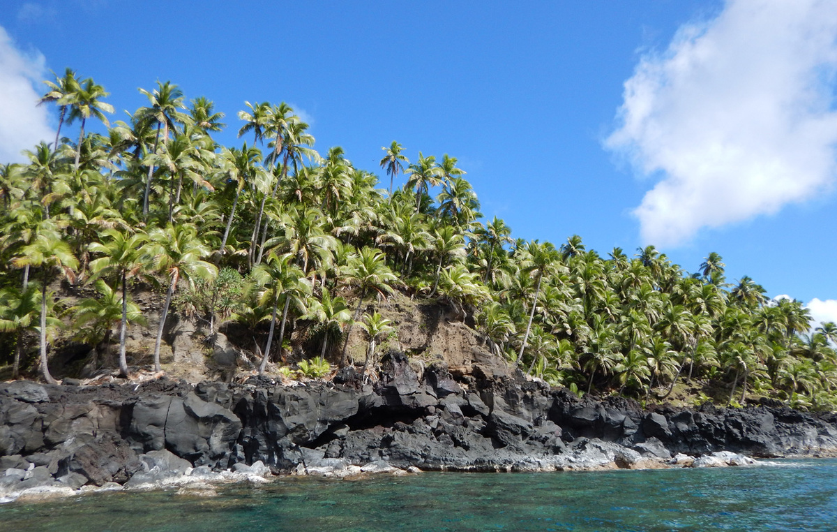 Агрихан густо покрыт лесами