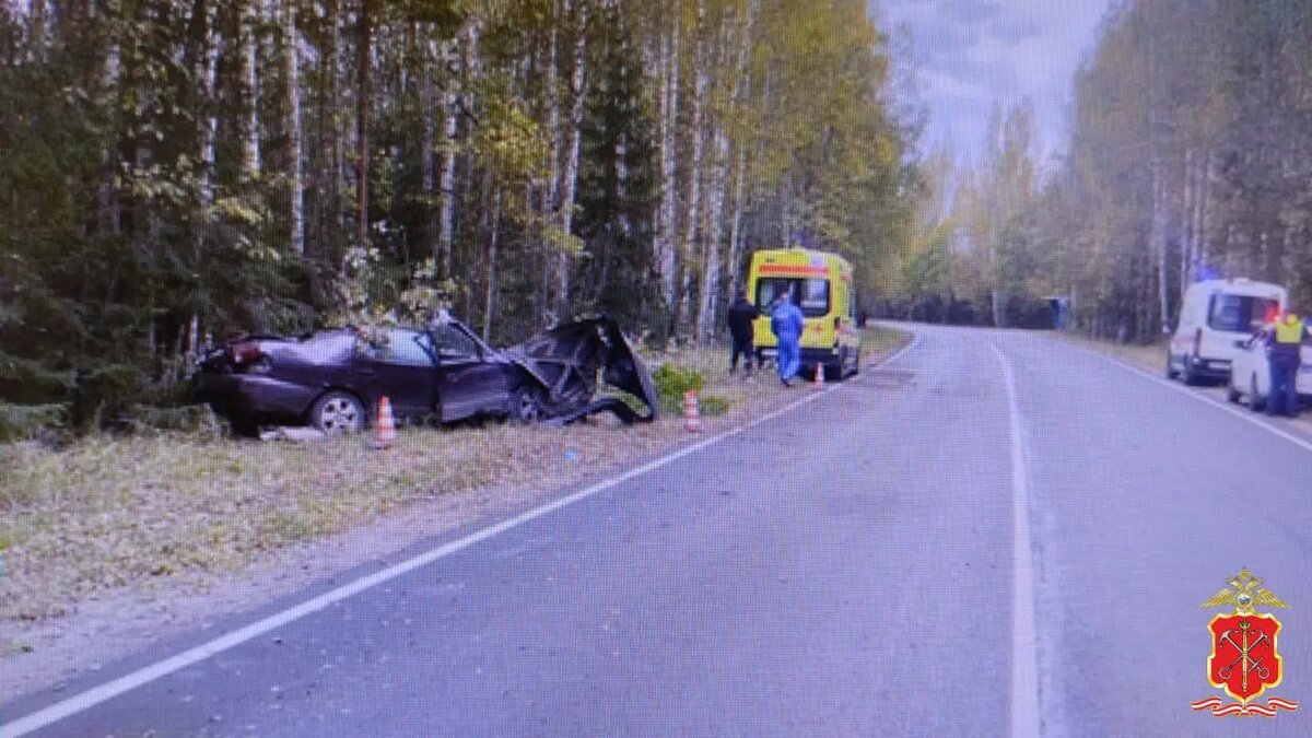    Фото: пресс-служба ГУ МВД России по Петербургу и Ленобласти