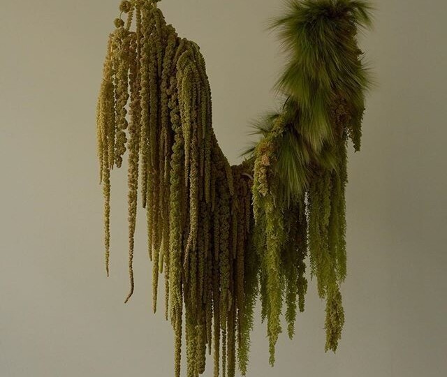 Амарант: как использовать, хранить и продлить жизнь в букетах и композициях