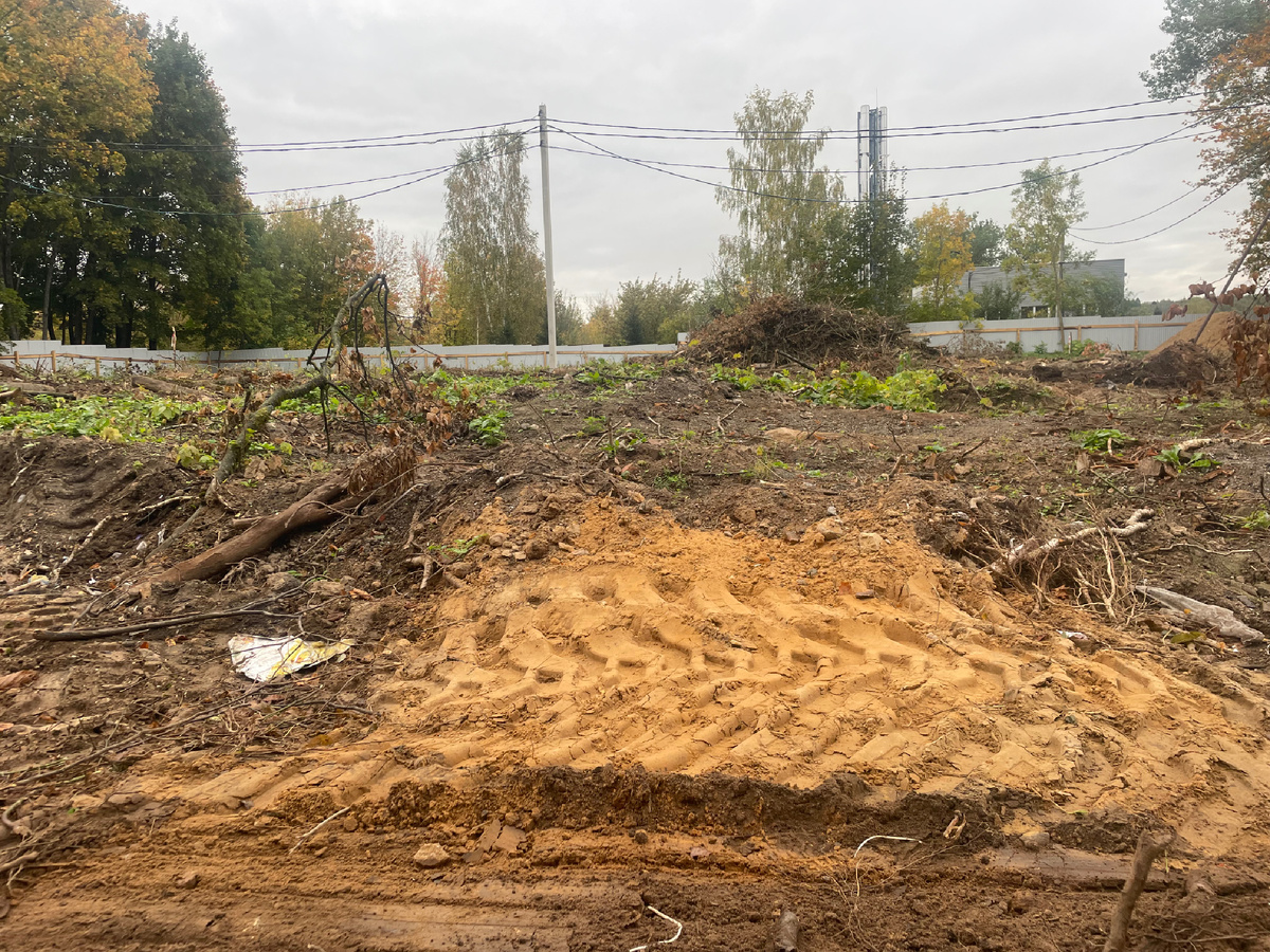 Строительные площадки часто бывают кладезем сокровищ, которые в итоге пойдут под нож, то есть под бетон