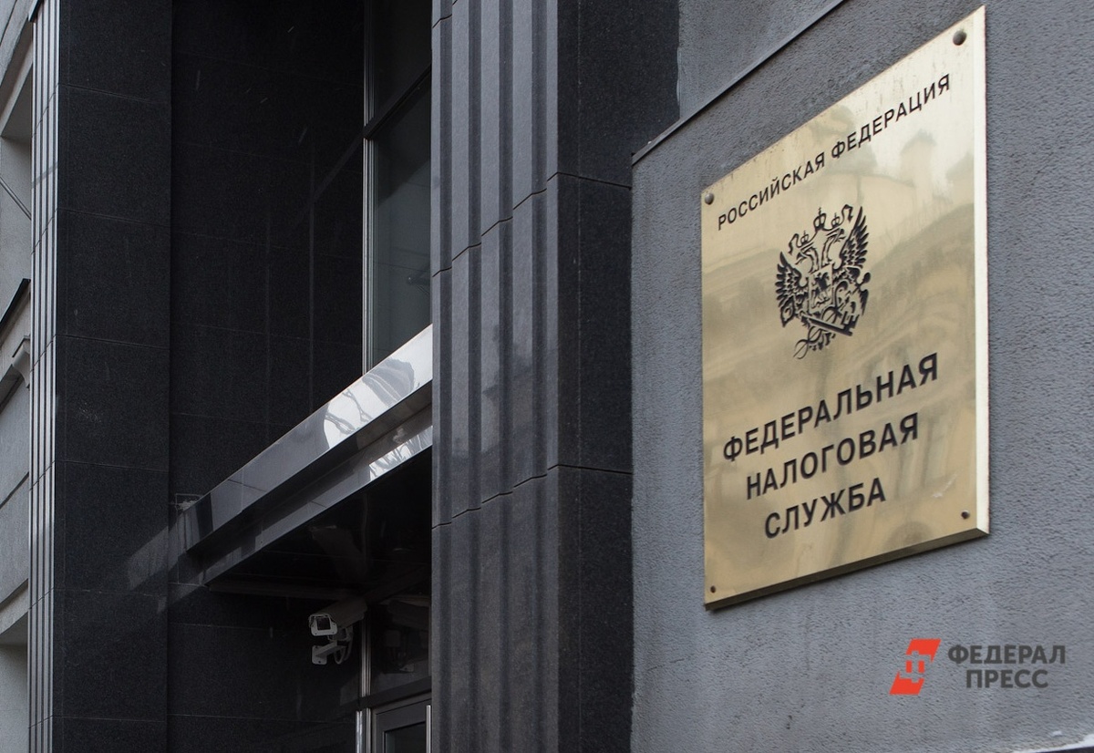 Блогер задолжала налоговой 352 тыс. рублей.  Фото: ФедералПресс / Елена Сычева