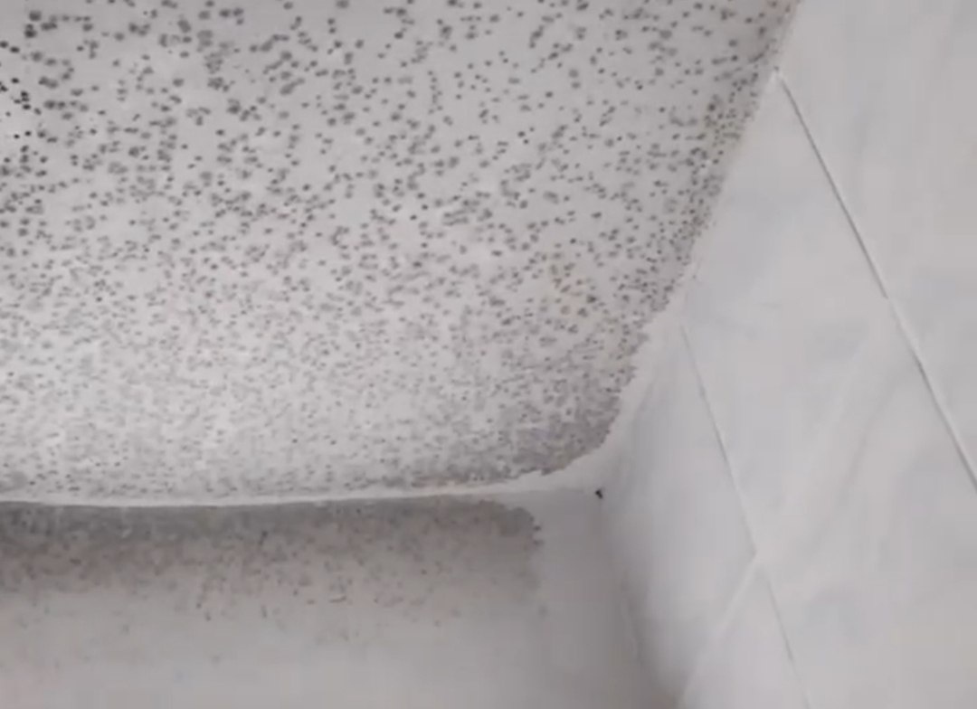    На кадрах видно, что потолок комнаты полностью покрыт грибком и плесенью