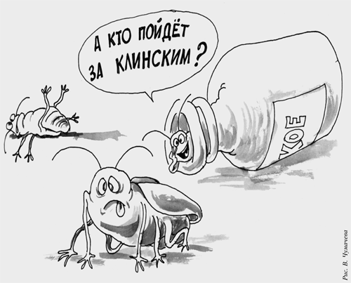 Изображение из интернета 