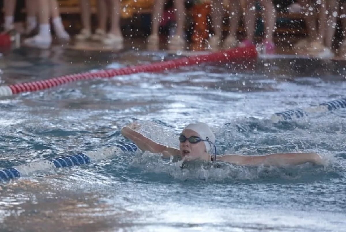    Новосибирский бассейн СКА впервые принял чемпионат СФО по плаванию