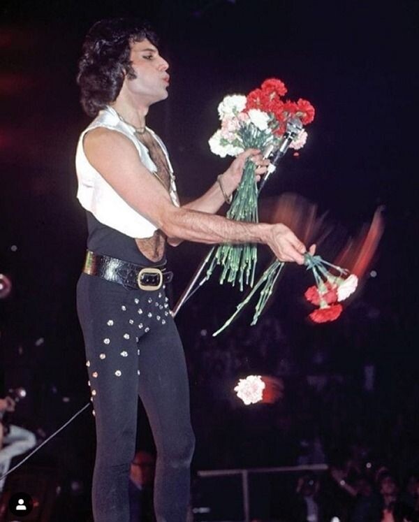 Да, у гвоздик нет шипов, но смотрятся они не так прекрасно, как розы