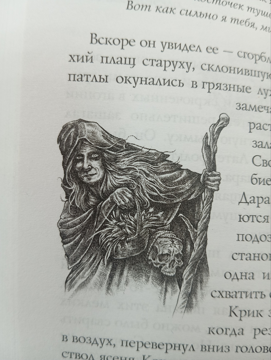 Иллюстрация из книги «Сиротки Отцеубийцы» Эксмо Москва 2023г.