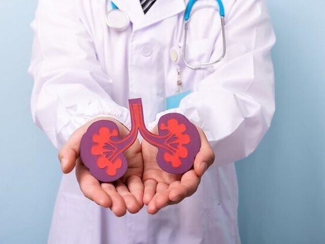    Фото: 123RF/rawpixel