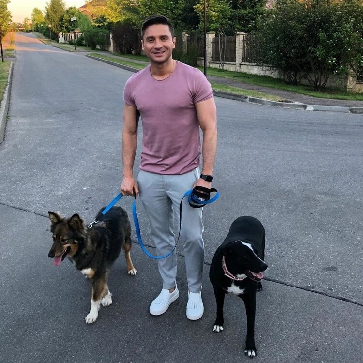 Дейзи и Лиса.