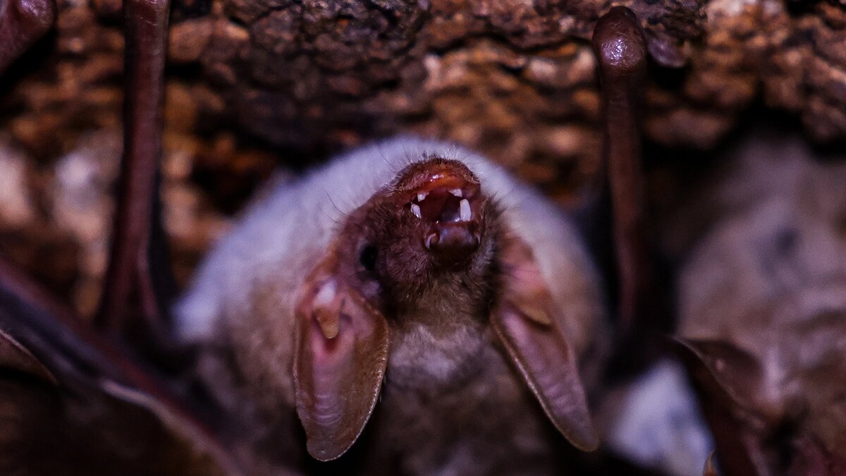   Андрей Рубцов / ТАСС