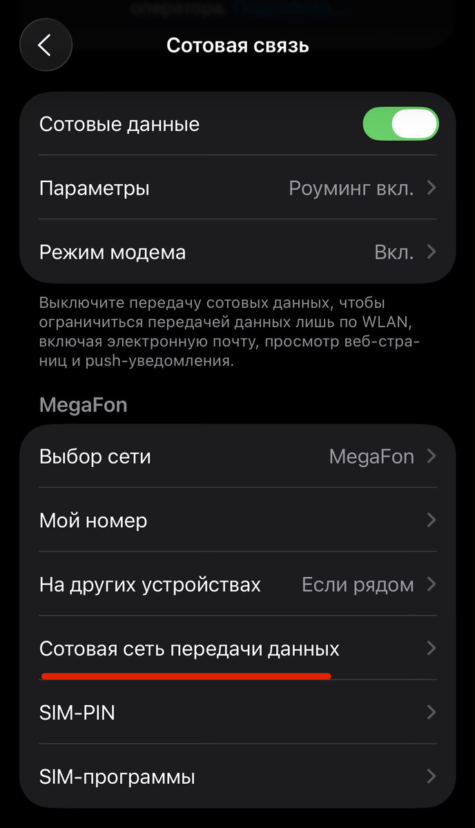 «Сотовая сеть преедачи данных» во вкладке «Сотовая связь»