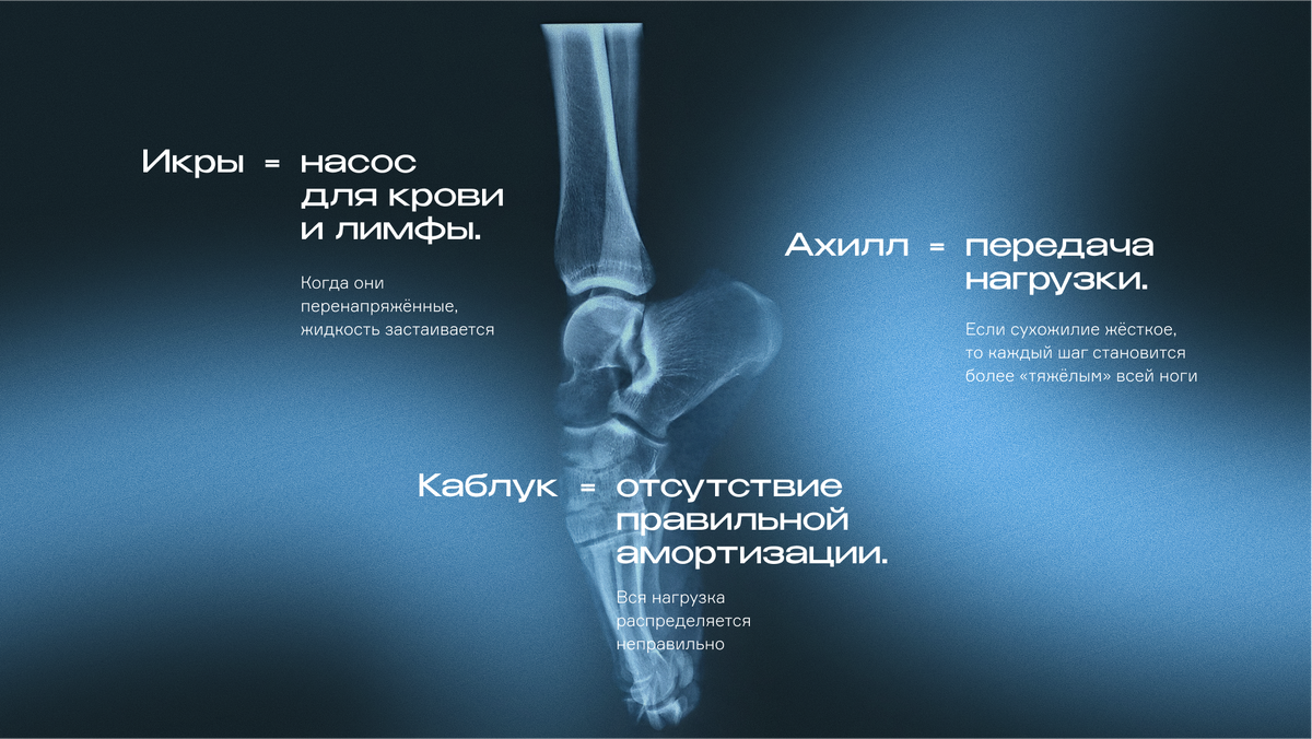 Икры, ахилл, каблук