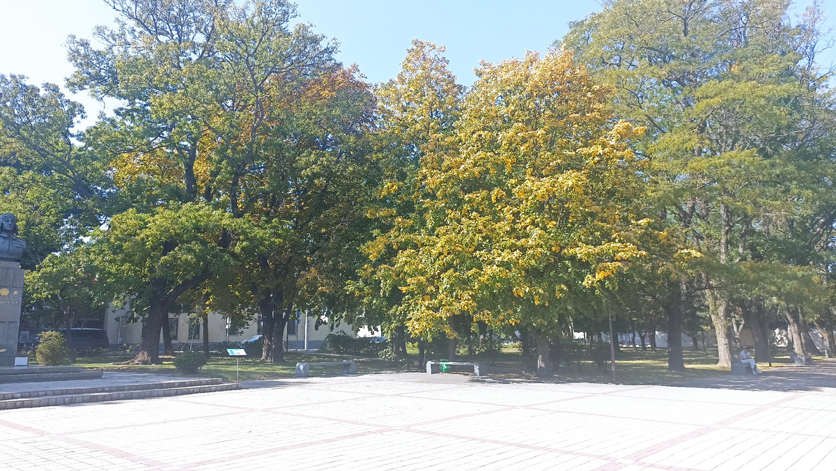 аллея вдоль улицы Советов