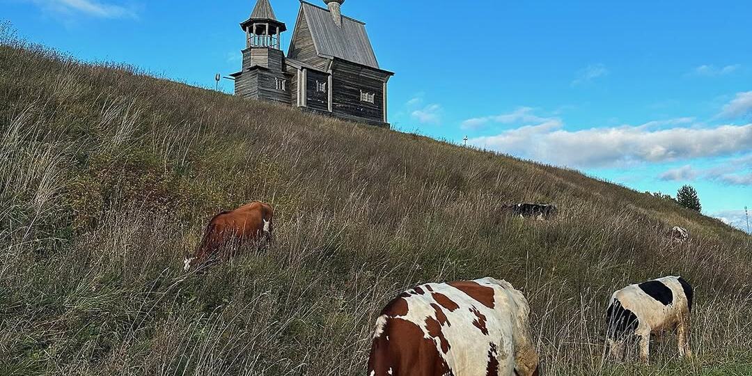 Здесь живёт душа Севера — Кенозерский национальный парк🌲