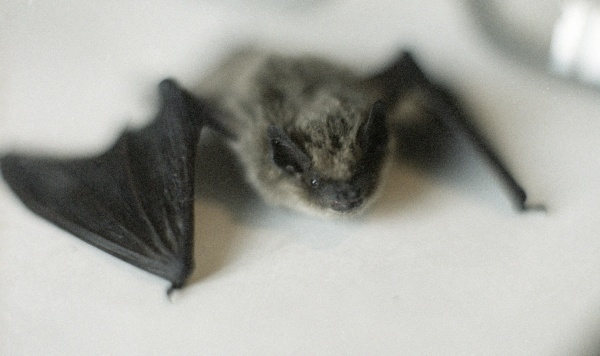 Фото: РИА Новости/Вячеслав Бобков