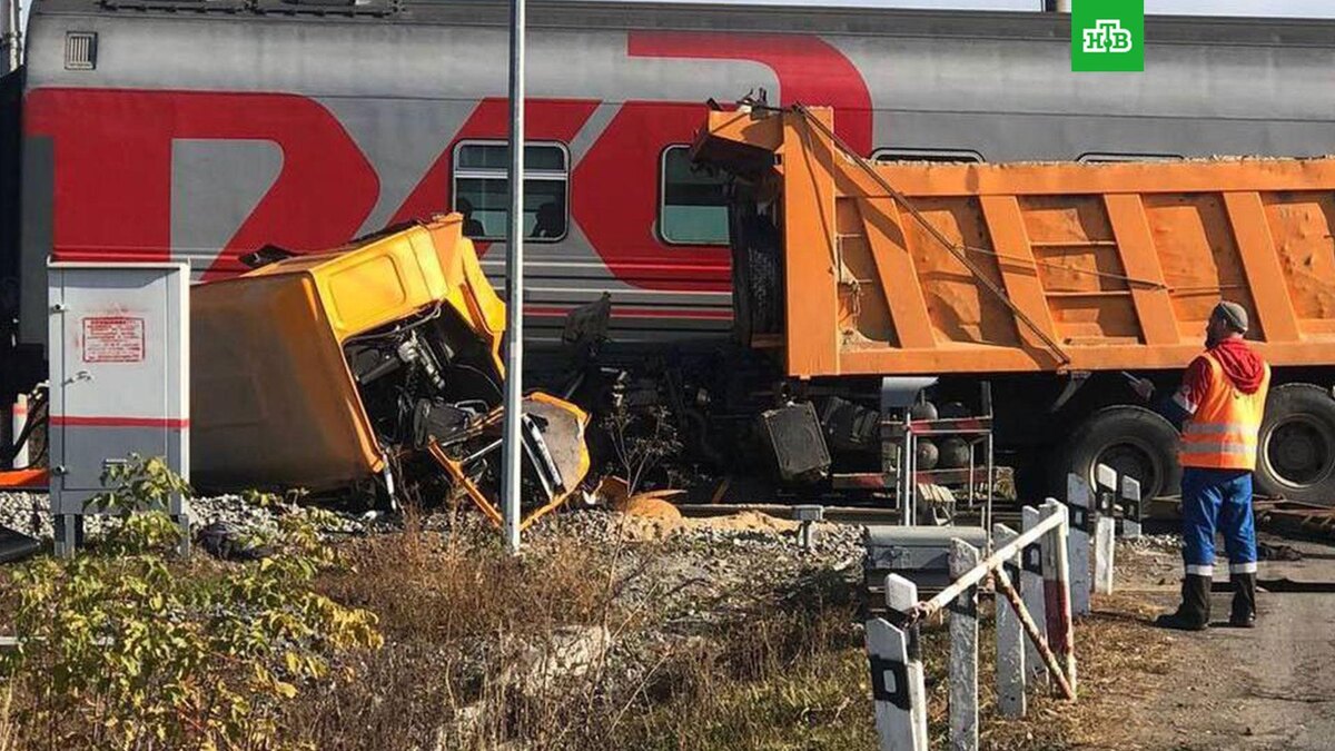    Фото: ptprok / t.me