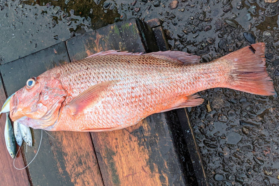    Shutterstock/FOTODOM