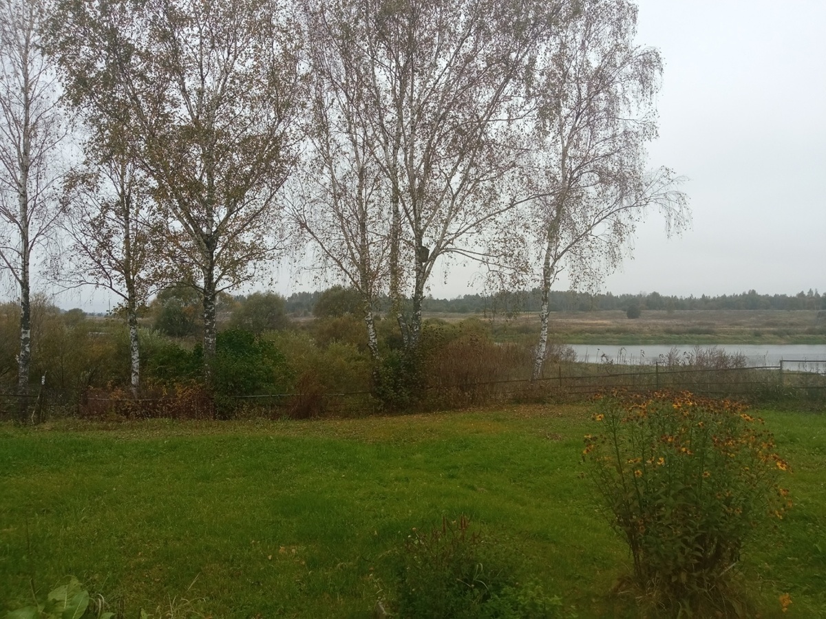 Осень на нашем участке.