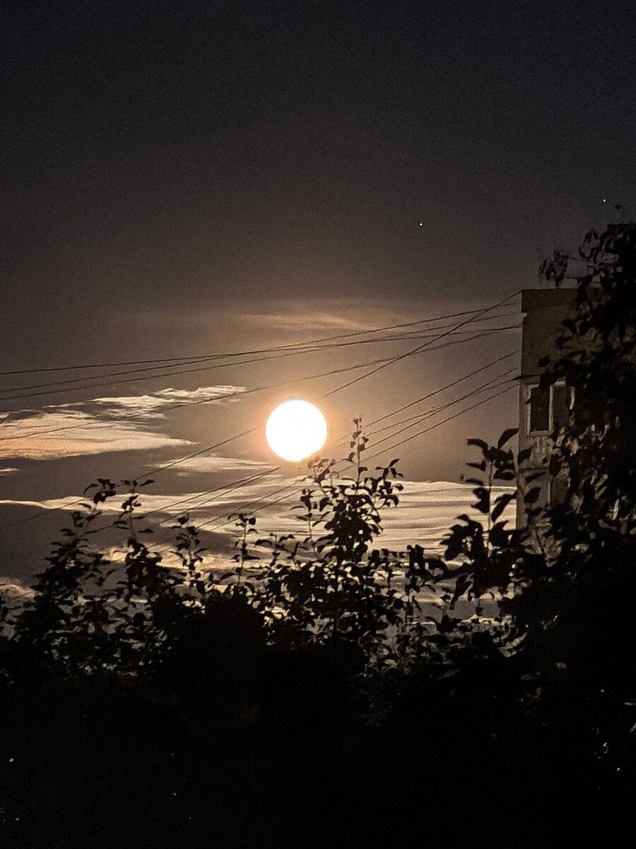    Суперлуние в Барнауле. Источник: Марина Кожайкина, vk.com/barneos22