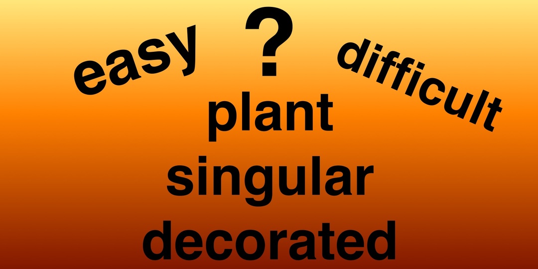 Три знакомых слова с неожиданными значениями