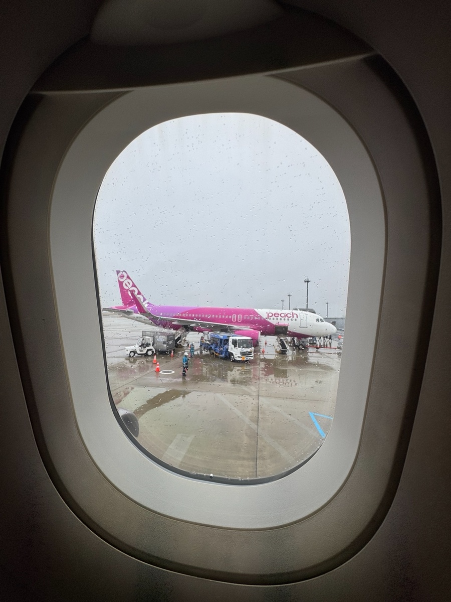 Аэропорт Осаки, Япония. Фото автора. Авикомпания Peach