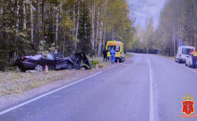    © Пресс-служба ГУ МВД России по Петербургу и Ленобласти