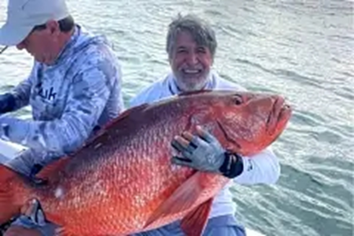    Фото: Los Buzos Panama, источник: Facebook (запрещен в России; принадлежит Meta, признанной в РФ экстремистской и запрещенной)