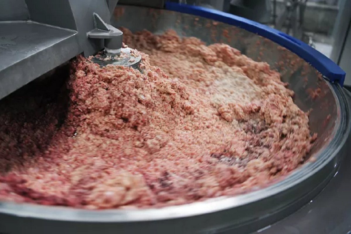    Фото: Светлана Шевченко, источник: РИА Новости