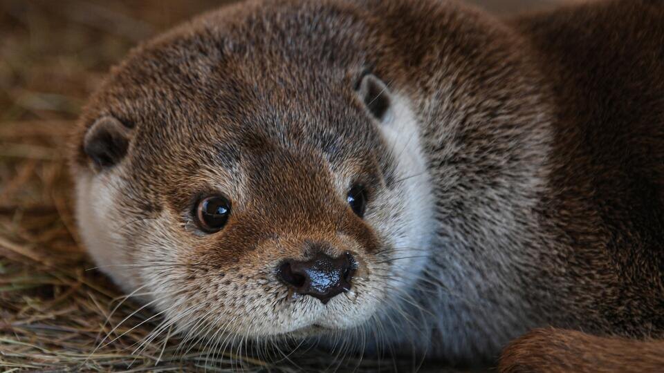 ФОТО: РИА Новости/Виталий Аньков