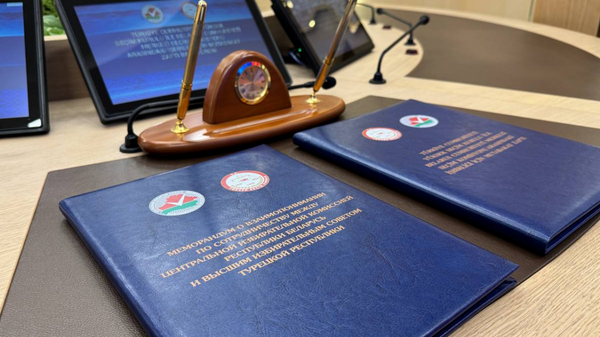    © Photo : Telegram / ЦИК Беларуси