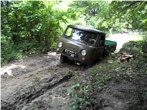 Фото: Яндекс-картинки.