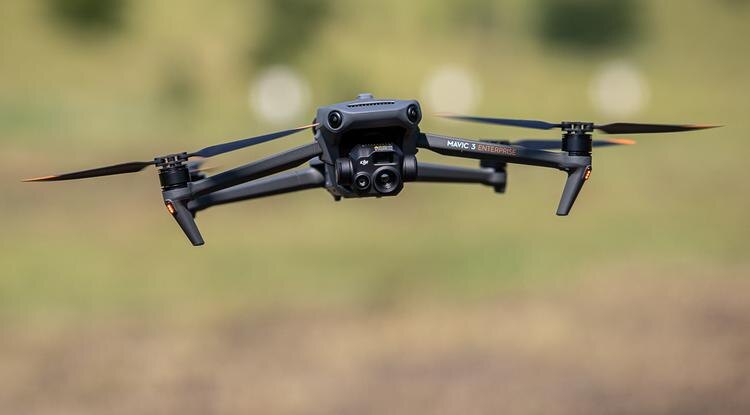 Фото: Алексей Дацковский (архив)