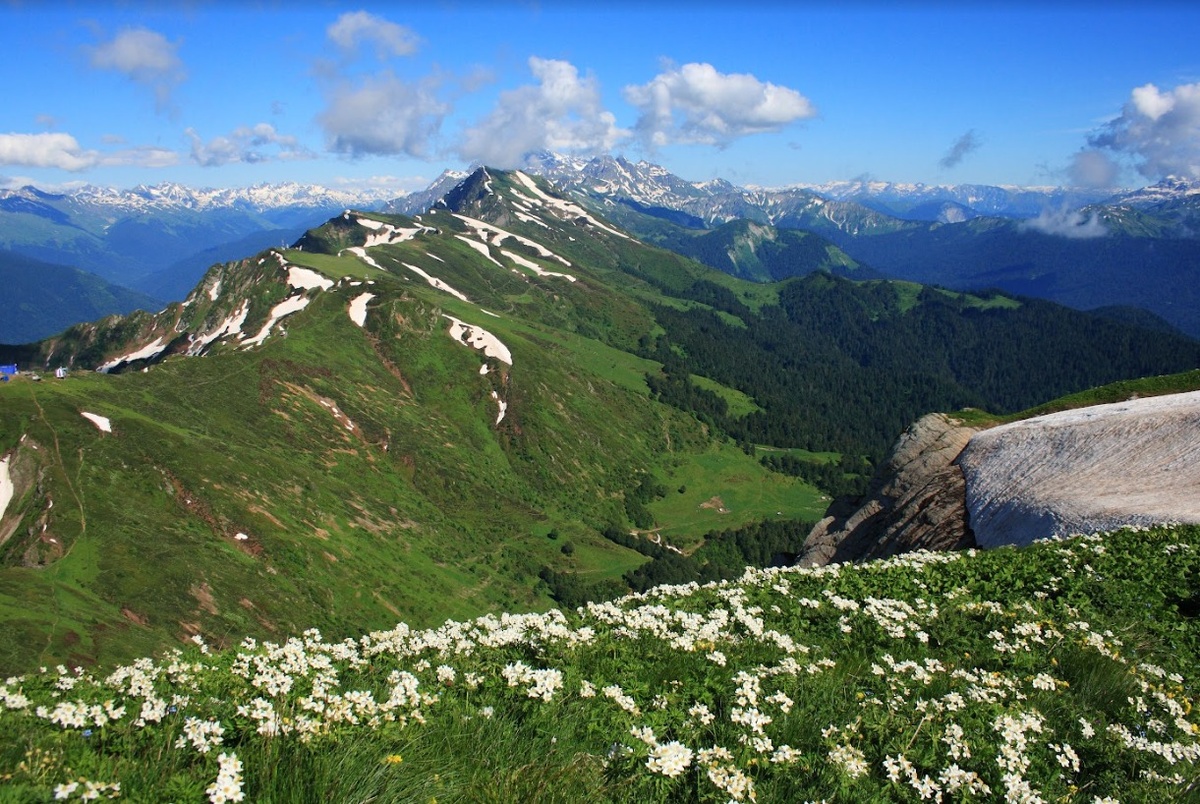    Фото: пресс-служба Сочинского национального парка