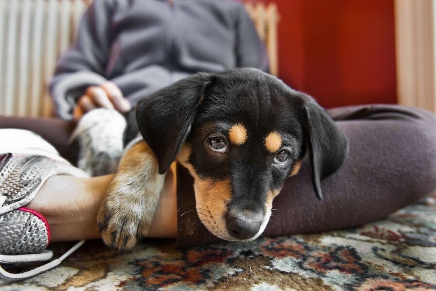 Photograph By KARINE AIGNER, Nat Geo Image Collection