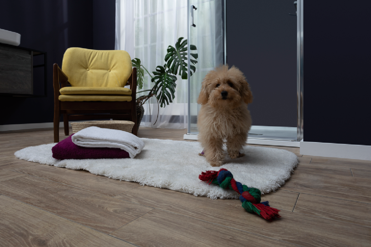 Душевая стойка Aquanet Pragmatic R AF430-70-R-C, с полочкой в Москве