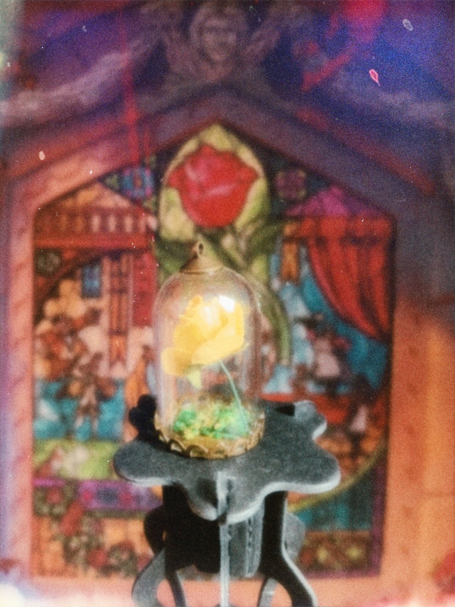 Та самая роза, которая должна цвести, пока принцу не исполнится двадцать один год. Но заклятье спадет, только если принц научится любить и быть любимым до того, как роза потеряет последний лепесток. Иначе он навсегда останется безобразным чудовищем…