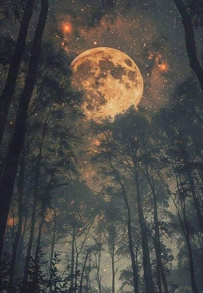 Изображение: Pinterest