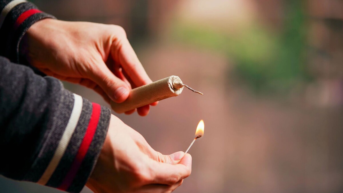    Фото: Fotos593/Shutterstock/Fotodom