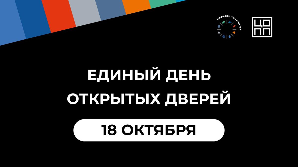    Фото: пресс-служба ЦОПП СПб