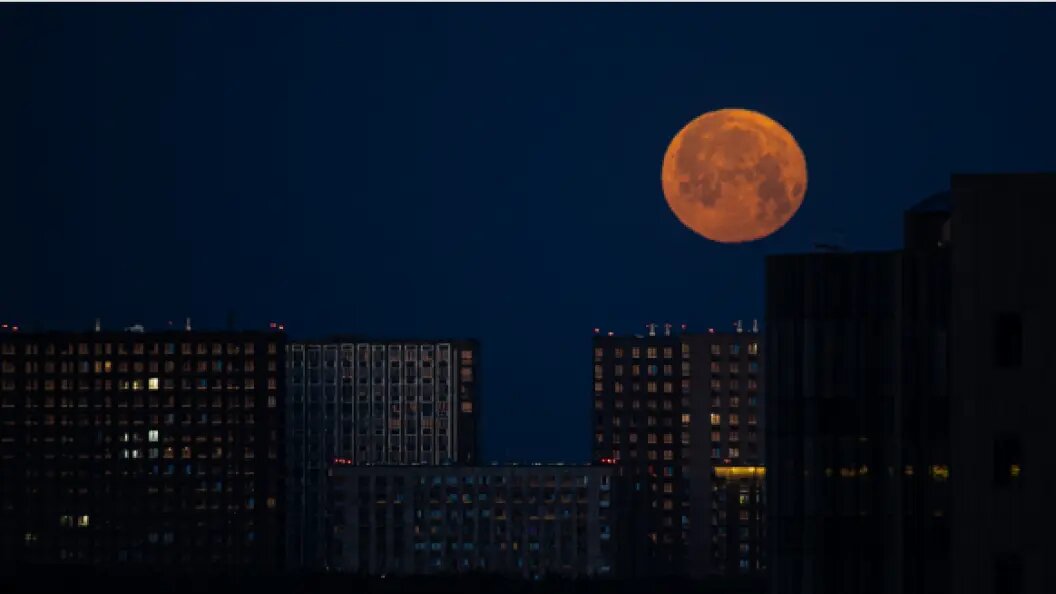    Фото: Edgar Breshchanov/Globallookpress