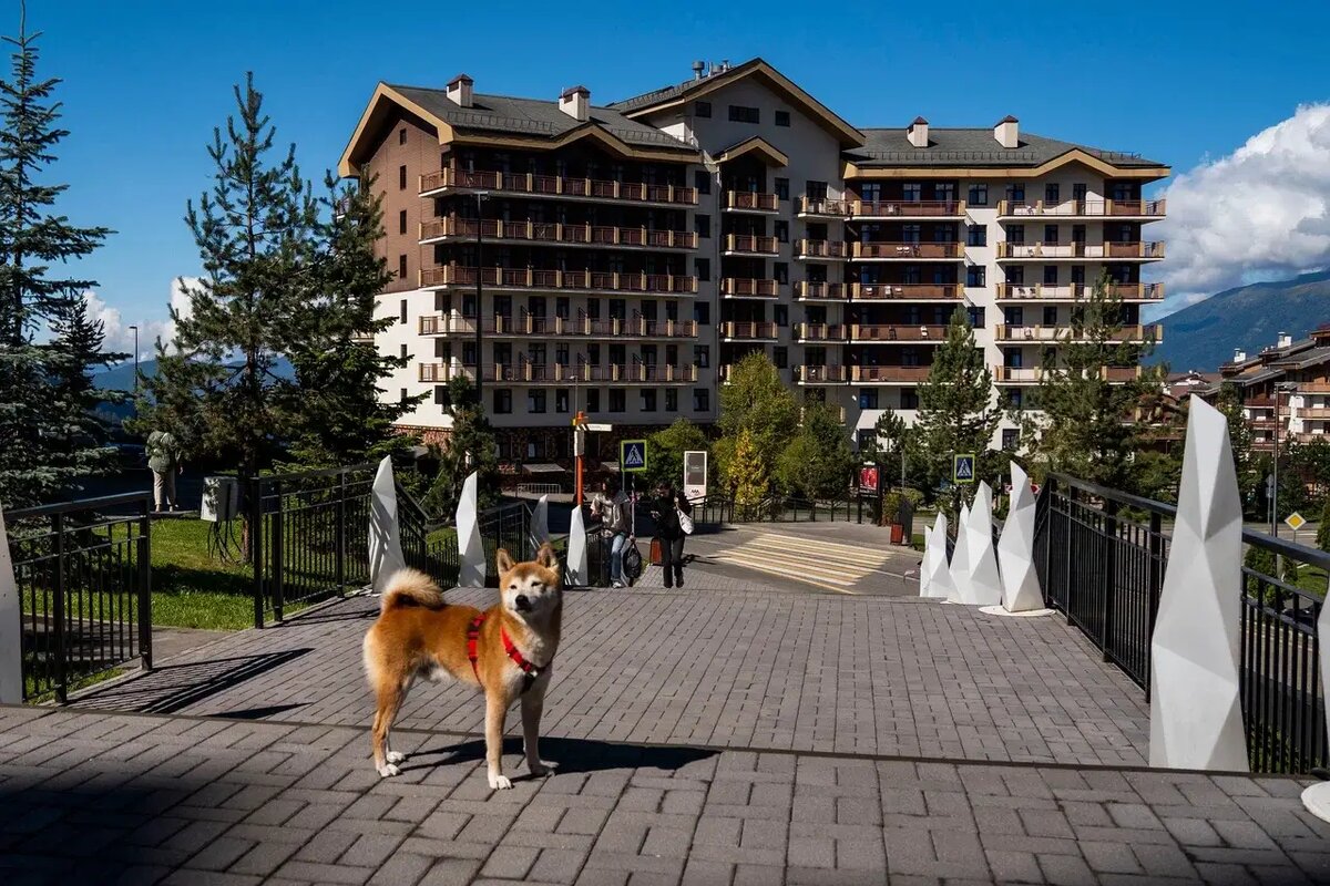     © Пресс-служба курорта Роза Хутор