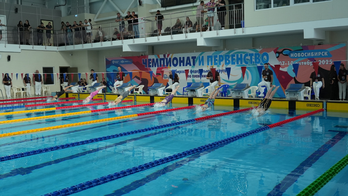    Фото: Правительство Новосибирской области, источник: nso.ru